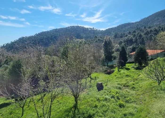 Tra Il Mare E I Monti * San Remo