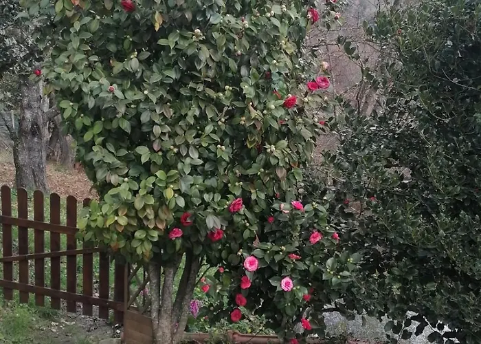 Hébergement de vacances Tra Il Mare E I Monti *