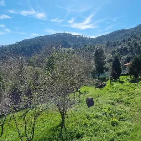 Tra Il Mare E I Monti * سانريمو