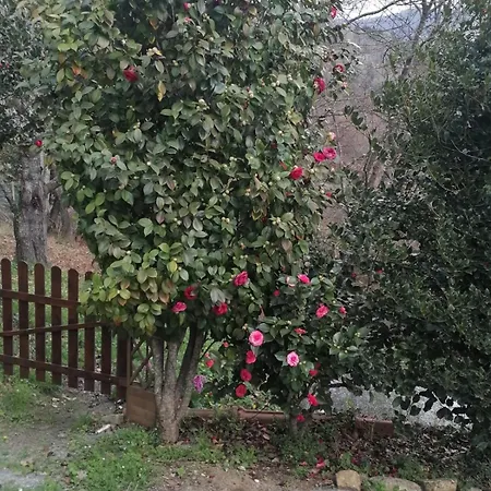 בית נופש Tra Il Mare E I Monti *