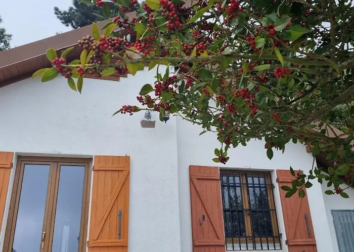 Tra Il Mare E I Monti Holiday home